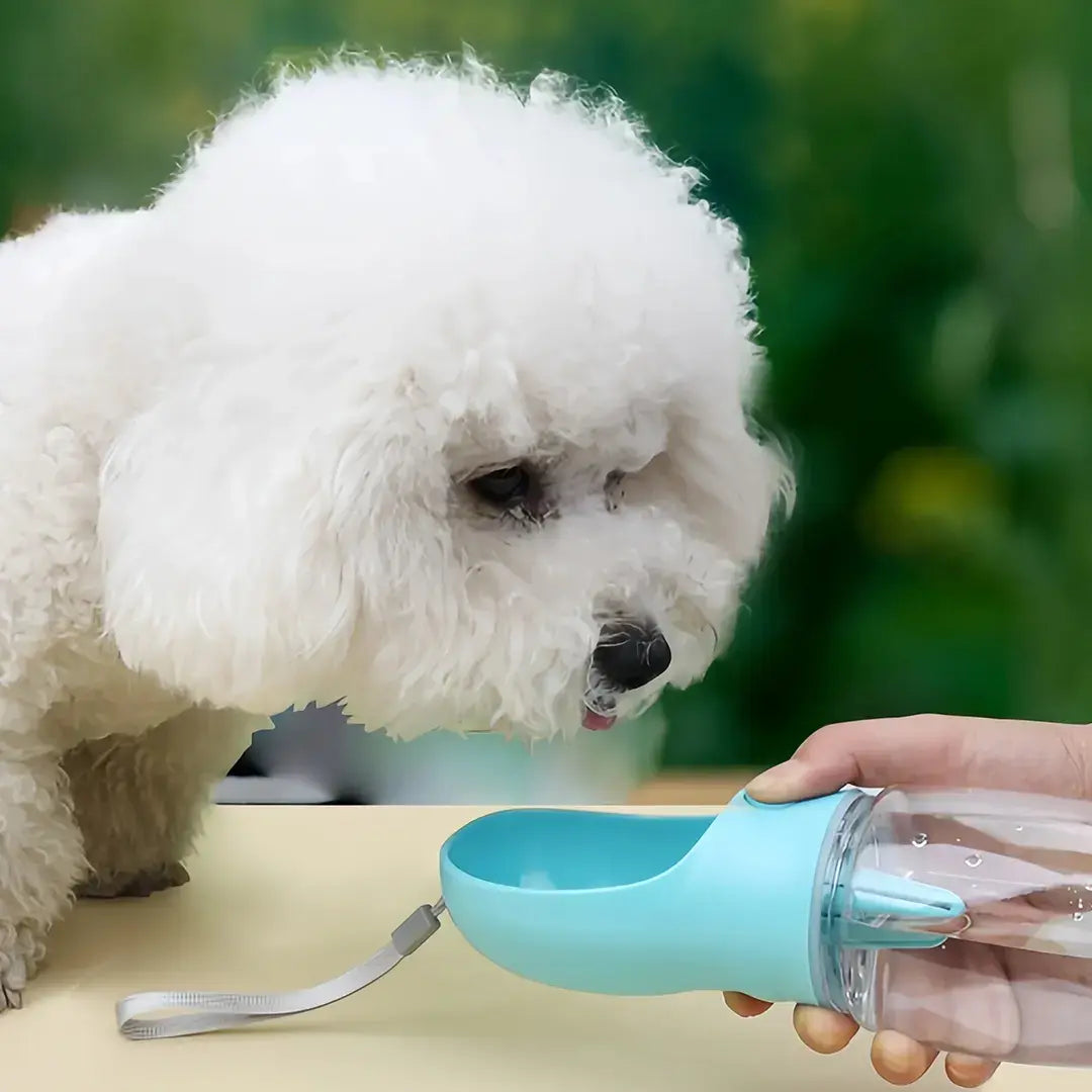 2-in-1 Travel Portable Dog Water Bottle with Food Storage Container