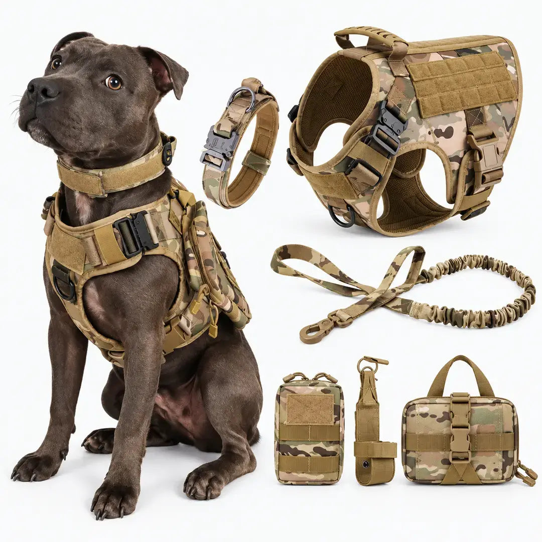 6-Piece Tactical Dog Harness Set for Large Dogs - MOLLE Vest with Collar, Bungee Leash & Pouches