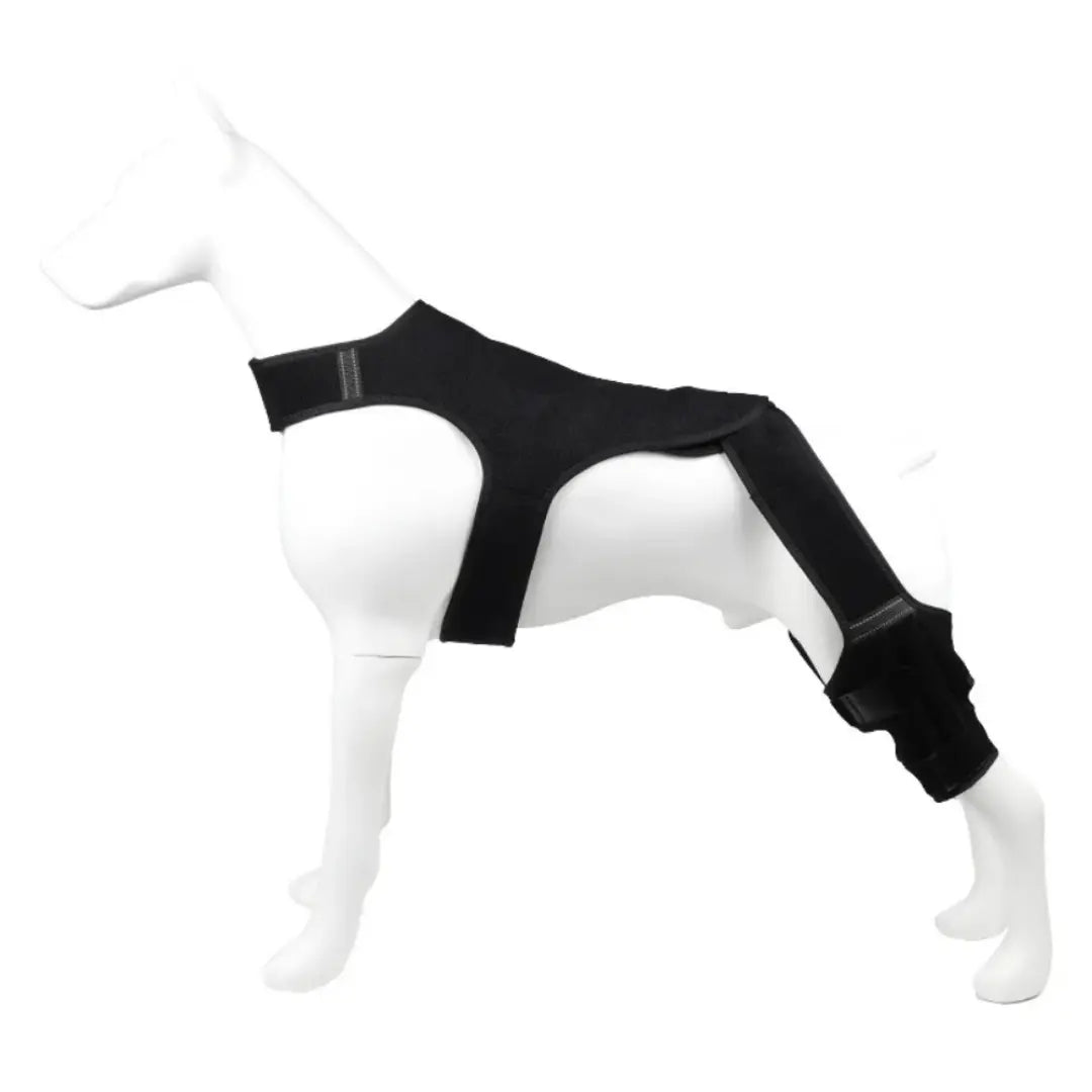 Adjustable Dog Leg Brace for Rear Legs, Breathable Support with Reflective Straps