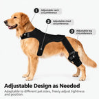 Adjustable Dog Leg Brace for Rear Legs, Breathable Support with Reflective Straps