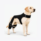 Adjustable Dog Leg Brace for Rear Legs, Breathable Support with Reflective Straps
