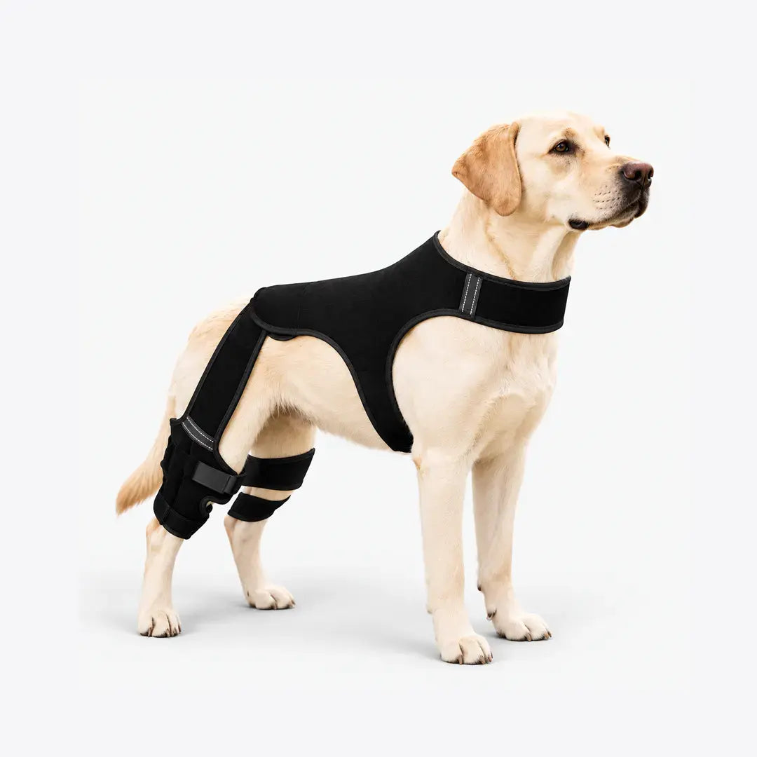 Adjustable Dog Leg Brace for Rear Legs, Breathable Support with Reflective Straps