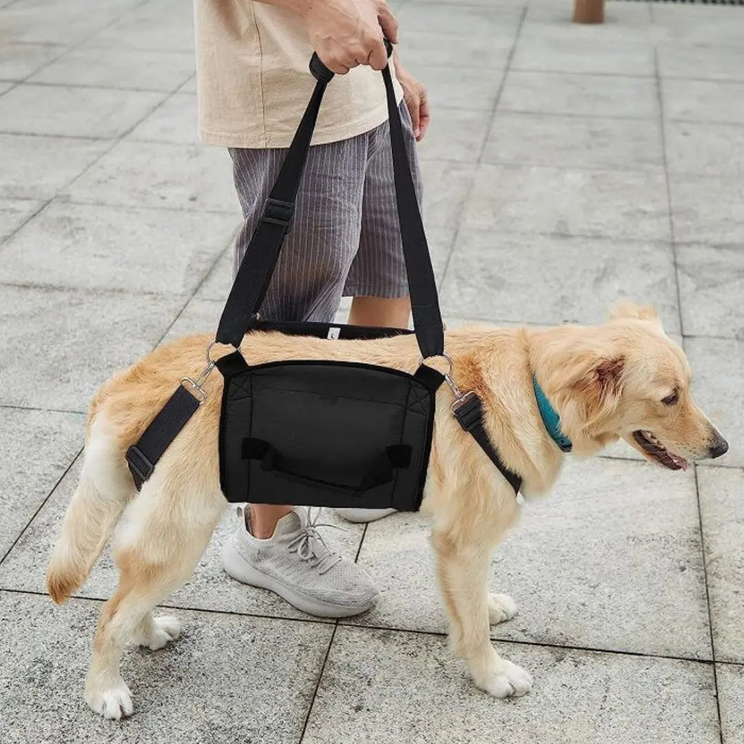 Adjustable Mobility Support Dog Lift Harness with Shoulder Strap for Senior & Injured Dogs
