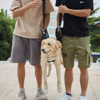 Adjustable Mobility Support Dog Lift Harness with Shoulder Strap for Senior & Injured Dogs