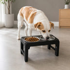 Adjustable Raised Dog Bowl, Elevated Feeding Station with 2 Stainless Steel Bowls