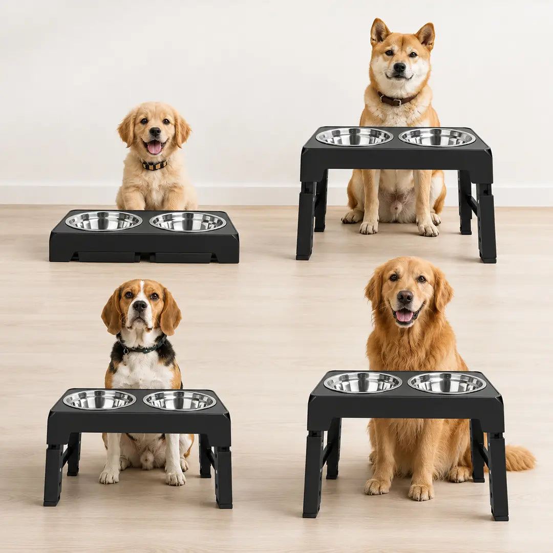 Adjustable Raised Dog Bowl, Elevated Feeding Station with 2 Stainless Steel Bowls