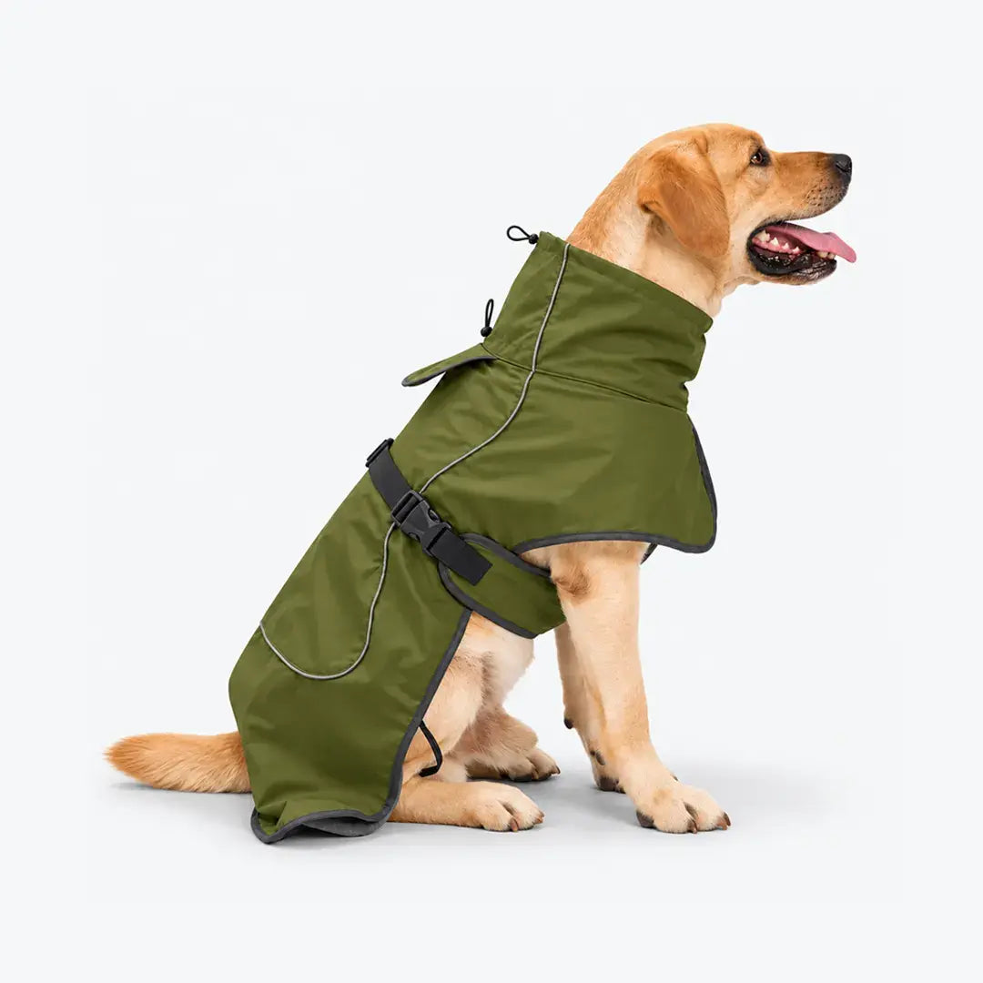 Adjustable Windproof Winter Dog Coat with Fleece Lining & Leash Opening