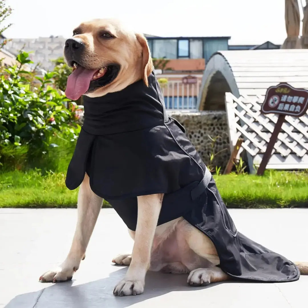 Adjustable Windproof Winter Dog Coat with Fleece Lining & Leash Opening