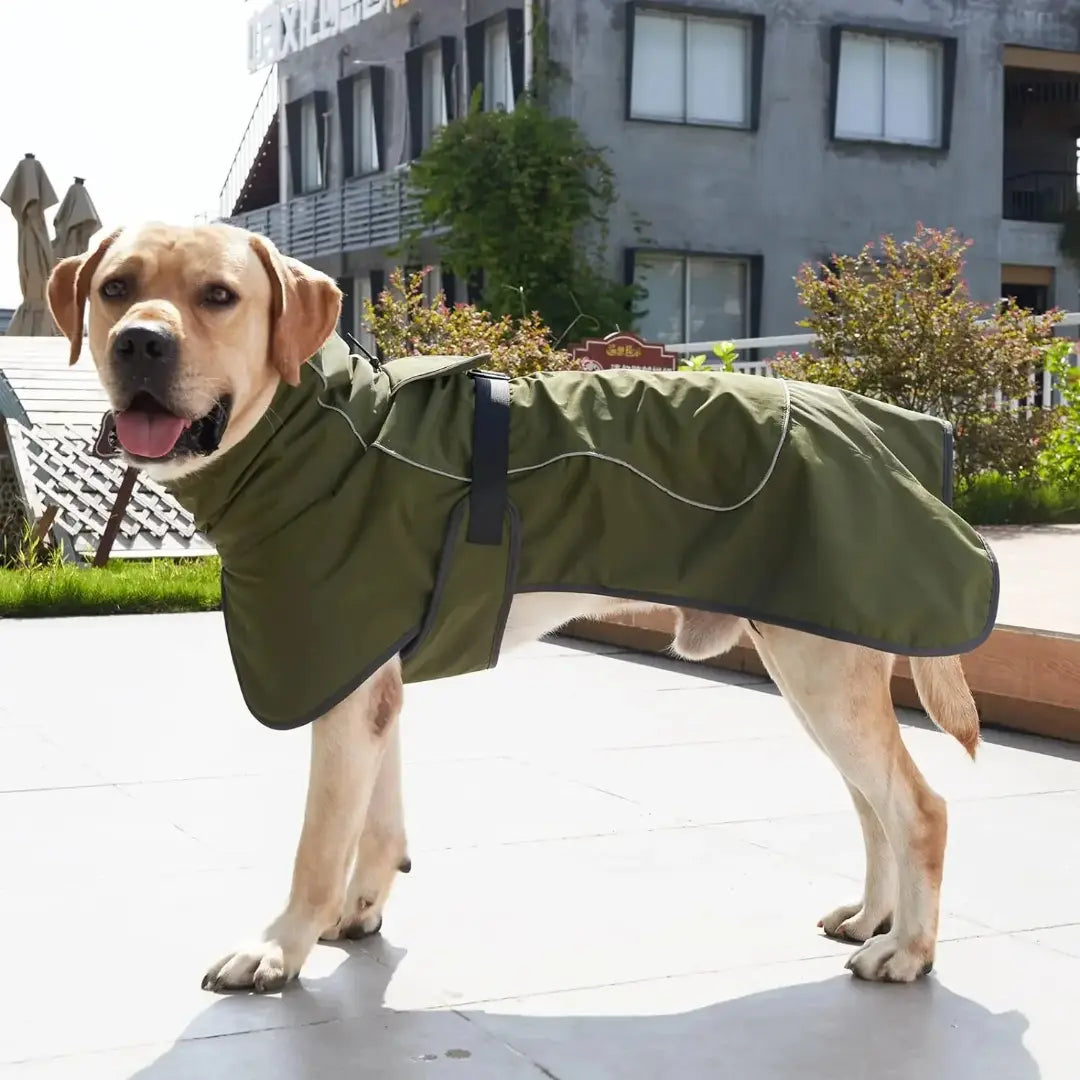 Adjustable Windproof Winter Dog Coat with Fleece Lining & Leash Opening