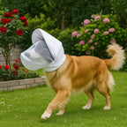 Anti-Scavenging Dog Muzzle for Walks, Breathable Mesh Hood