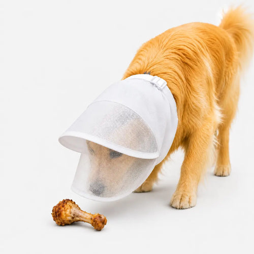 Anti-Scavenging Dog Muzzle for Walks, Breathable Mesh Hood