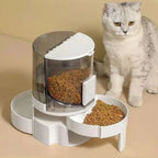 Automatic Pet Water Dispenser & Feeder for Cats & Small Dogs