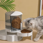 Automatic Pet Water Dispenser & Feeder for Cats & Small Dogs