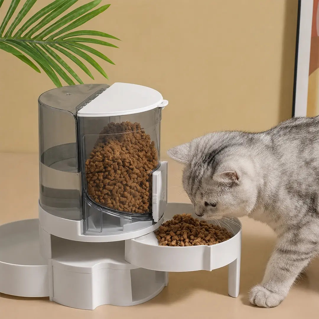 Automatic Pet Water Dispenser & Feeder for Cats & Small Dogs