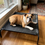 Breathable Raised Dog Bed Replacement Cover Mesh Hammock Fabric