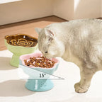 Ceramic Slow Feeder Bowl for Cats & Small Dogs, Raised Pedestal