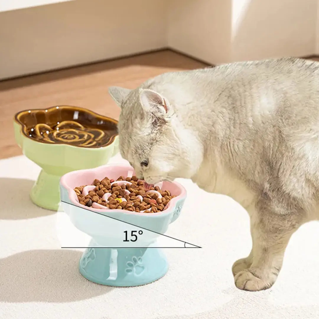 Ceramic Slow Feeder Bowl for Cats & Small Dogs, Raised Pedestal