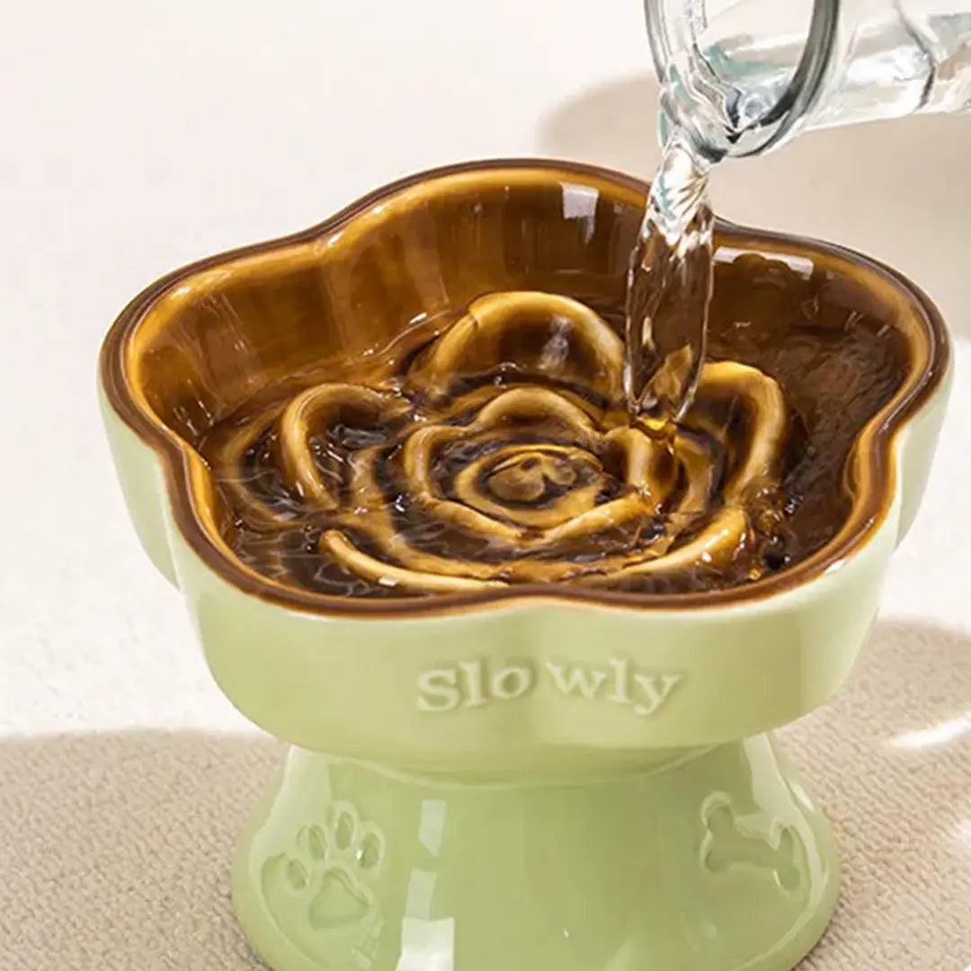 Ceramic Slow Feeder Bowl for Cats & Small Dogs, Raised Pedestal
