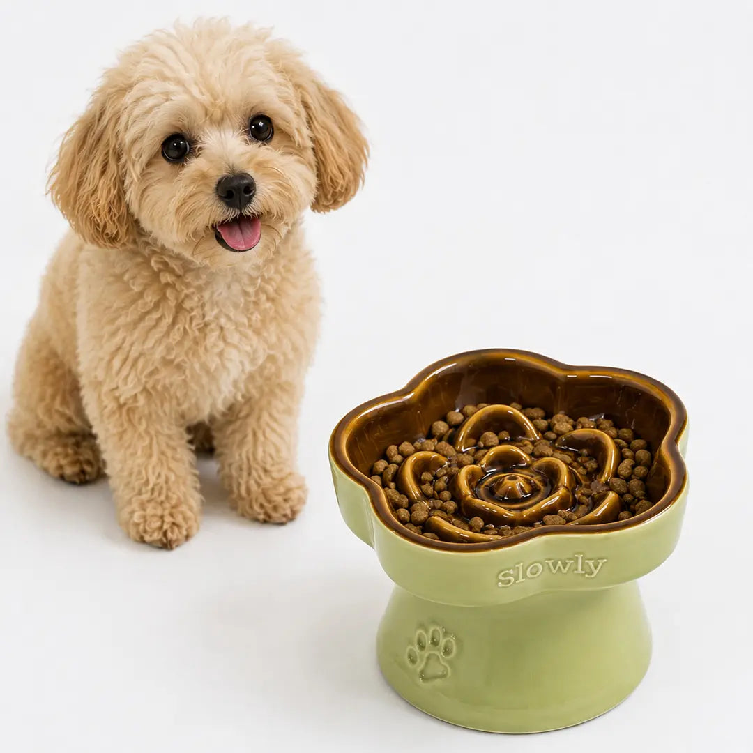 Ceramic Slow Feeder Bowl for Cats & Small Dogs, Raised Pedestal