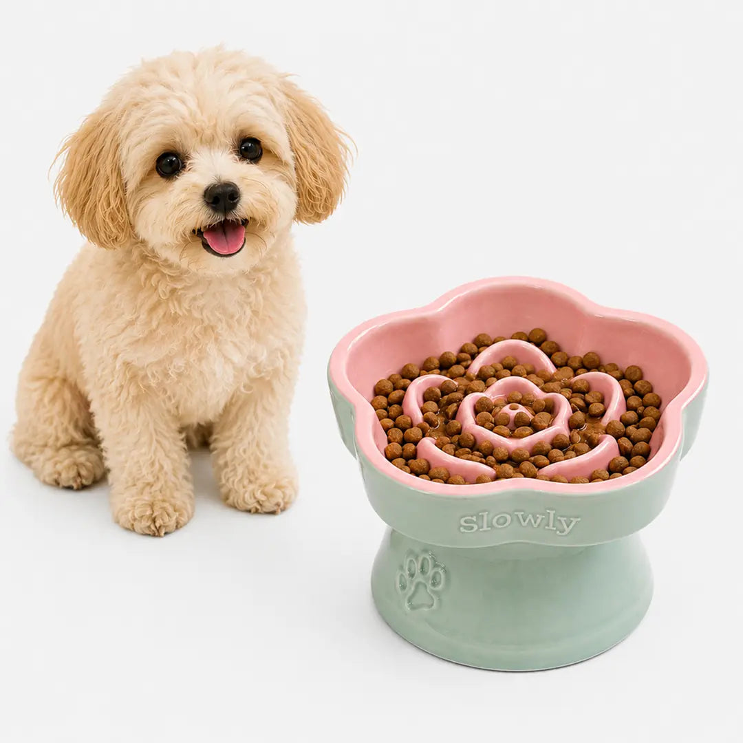 Ceramic Slow Feeder Bowl for Cats & Small Dogs, Raised Pedestal