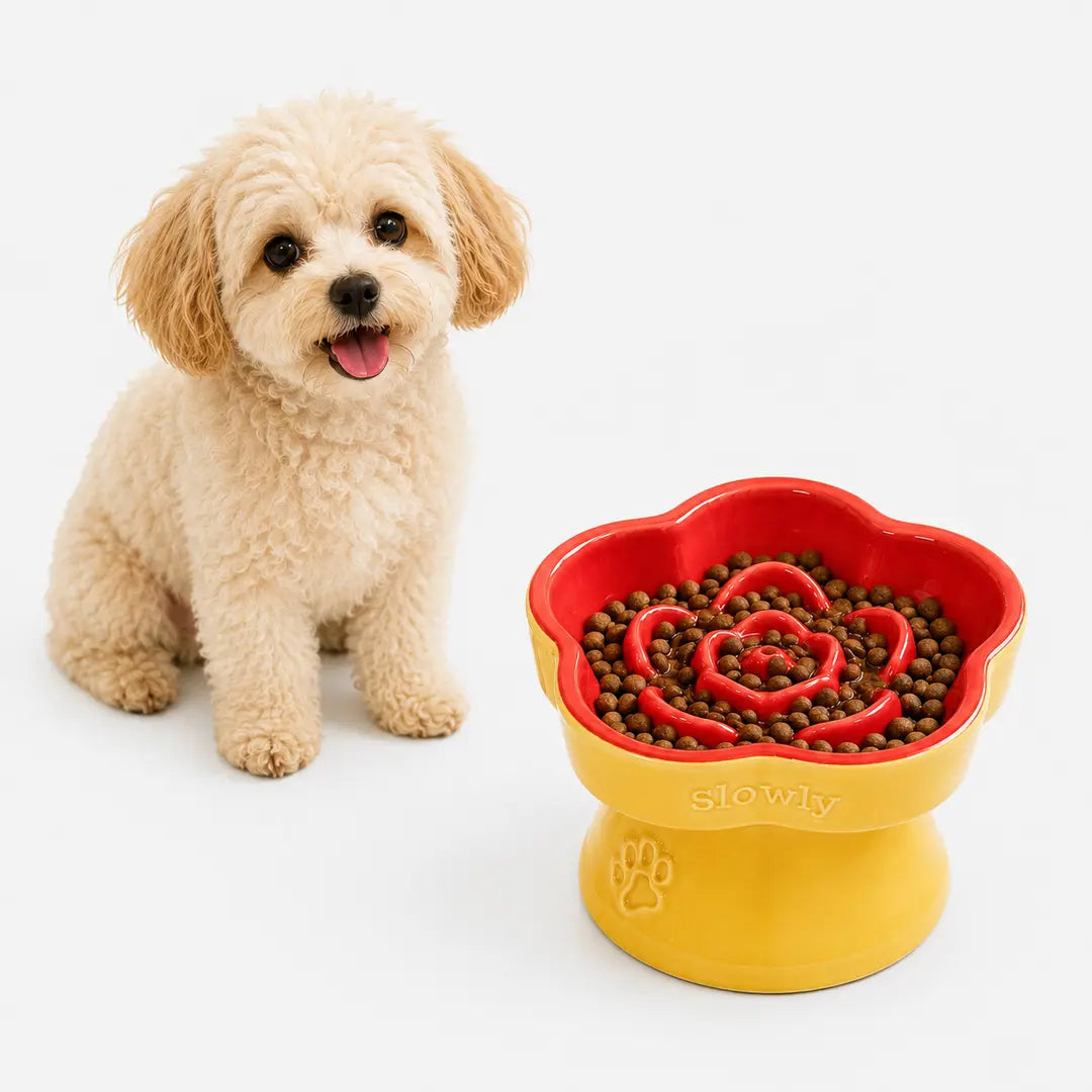 Ceramic Slow Feeder Bowl for Cats & Small Dogs, Raised Pedestal