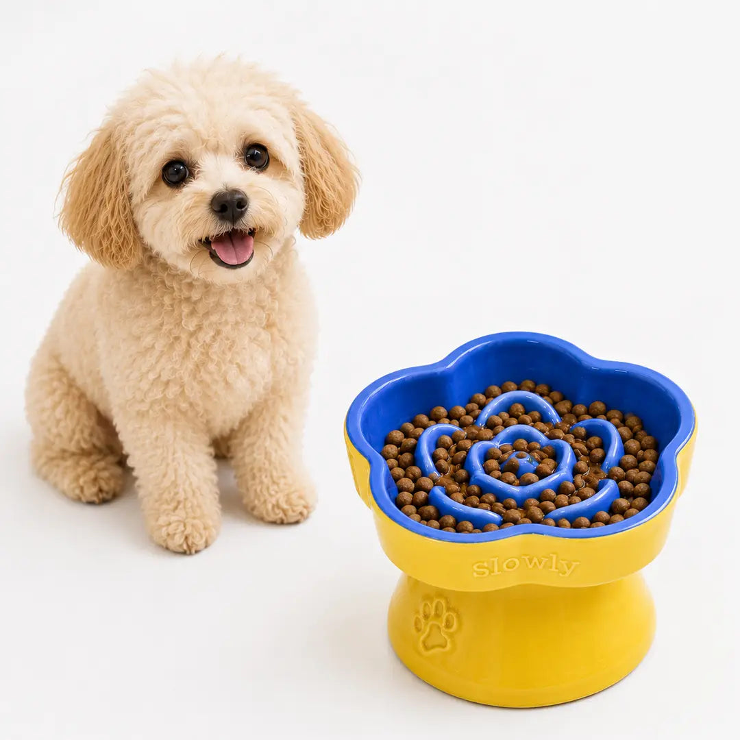 Ceramic Slow Feeder Bowl for Cats & Small Dogs, Raised Pedestal