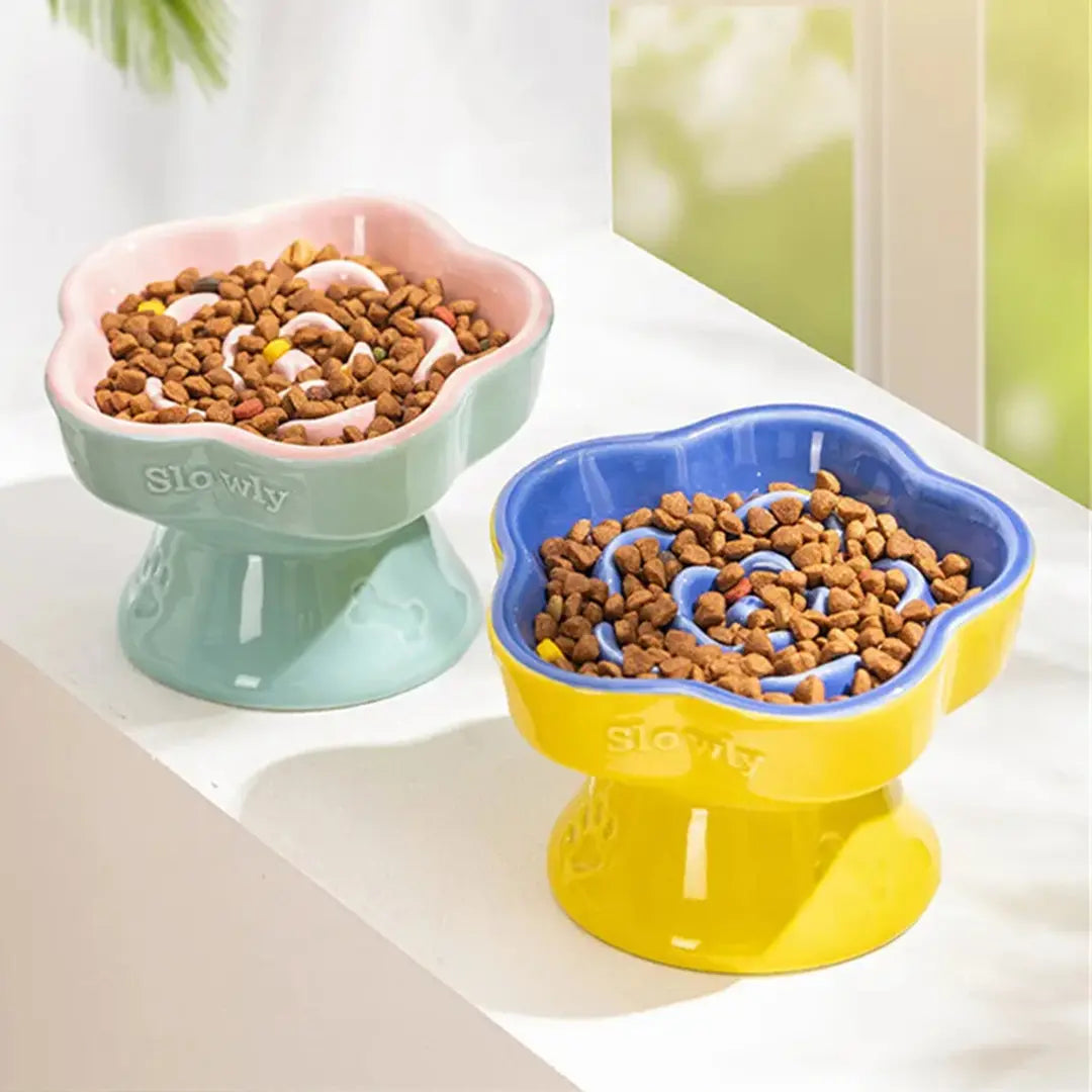 Ceramic Slow Feeder Bowl for Cats & Small Dogs, Raised Pedestal
