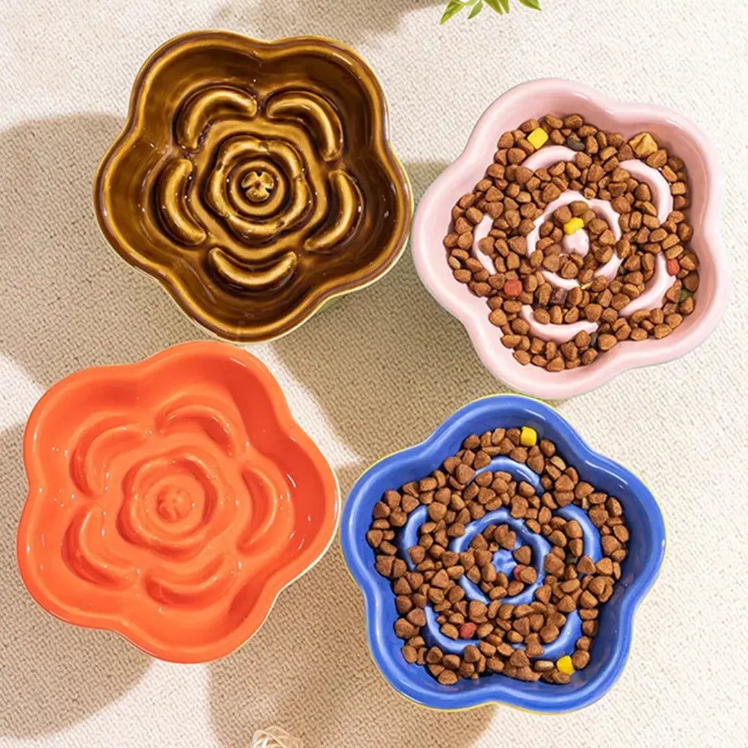 Ceramic Slow Feeder Bowl for Cats & Small Dogs, Raised Pedestal