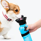 Compact Travel Portable Dog Water Bottle with 550ml Capacity & Foldable Bowl