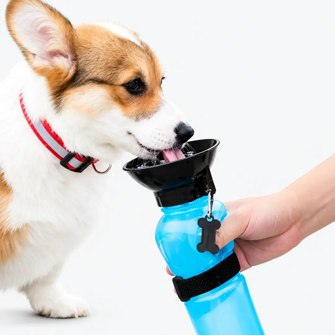 Compact Travel Portable Dog Water Bottle with 550ml Capacity & Foldable Bowl