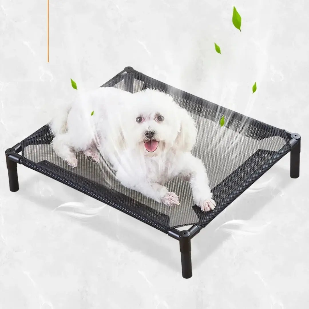 Cooling Mesh Elevated Pet Bed with Raised Frame for Dogs & Cats