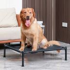 Cooling Mesh Elevated Pet Bed with Raised Frame for Dogs & Cats