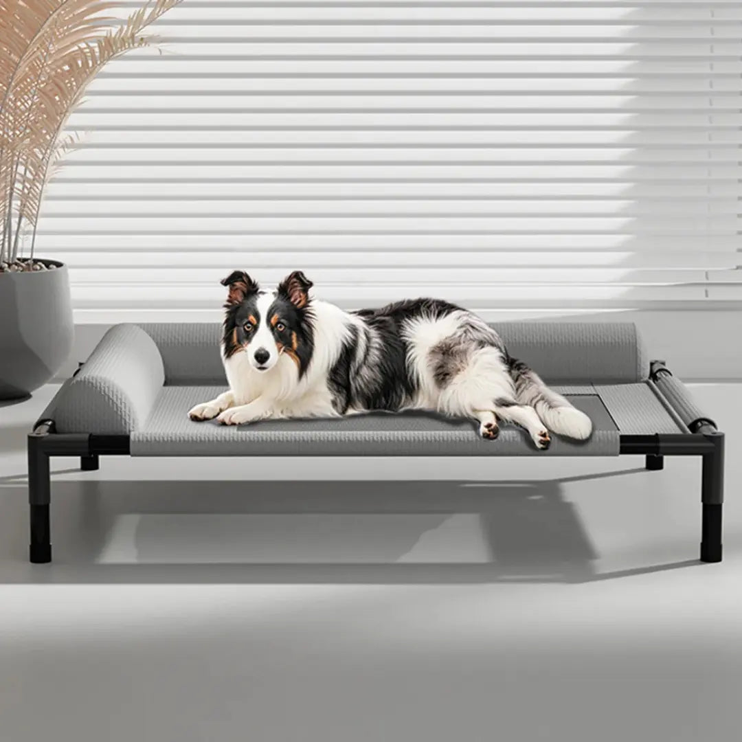 Cooling Raised Elevated Mesh Pet Bed with Removable Bolsters for Dogs & Cats