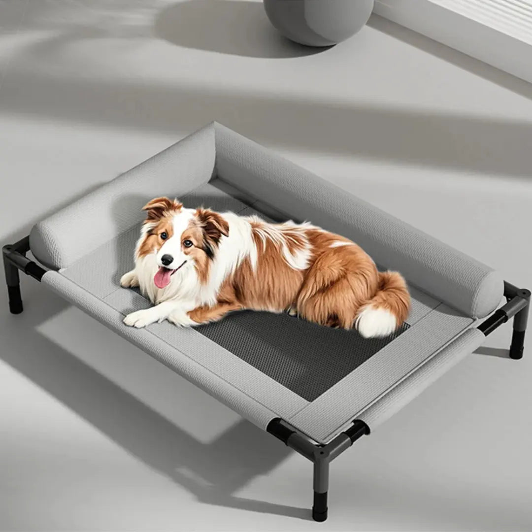 Cooling Raised Elevated Mesh Pet Bed with Removable Bolsters for Dogs & Cats