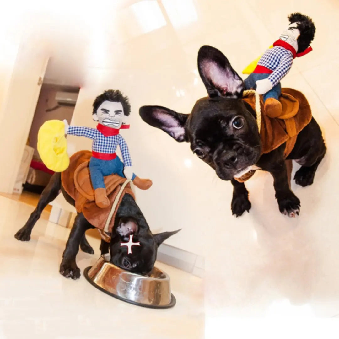 Cowboy Dog Costumes for Halloween, Funny Pet Rider Outfit for Small & Large Dogs