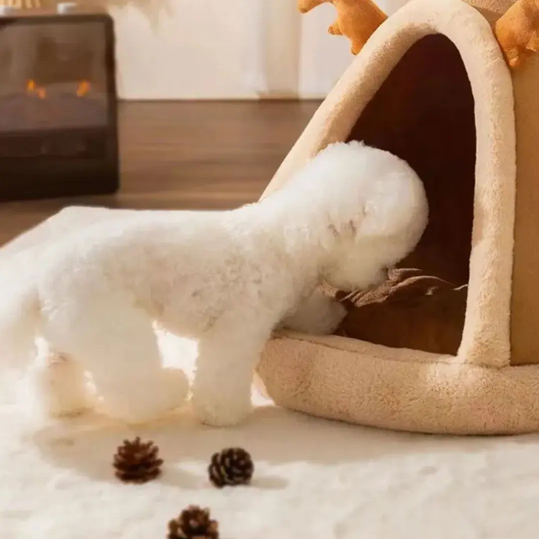 Cozy Hideaway Pet Teepee Tent with Plush Cushion for Cats & Small Dogs