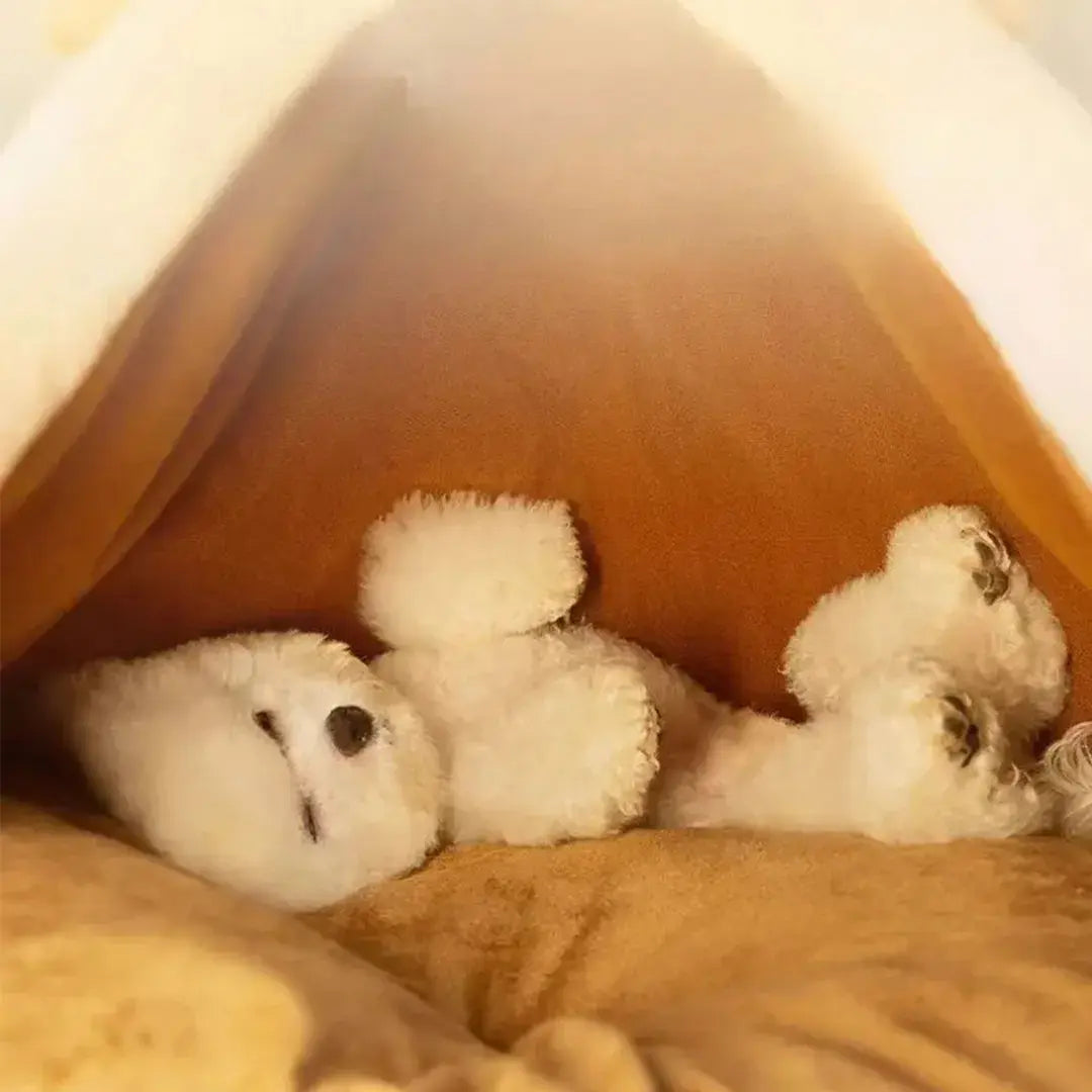 Cozy Hideaway Pet Teepee Tent with Plush Cushion for Cats & Small Dogs