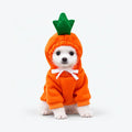 Cute Dog Clothes for Small Dogs, Warm Fleece Animal & Fruit Hoodie Costume