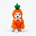 Cute Dog Clothes for Small Dogs, Warm Fleece Animal & Fruit Hoodie Costume