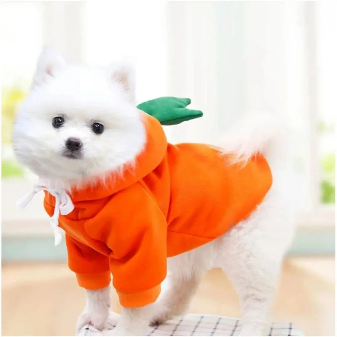 Cute Dog Clothes for Small Dogs, Warm Fleece Animal & Fruit Hoodie Costume
