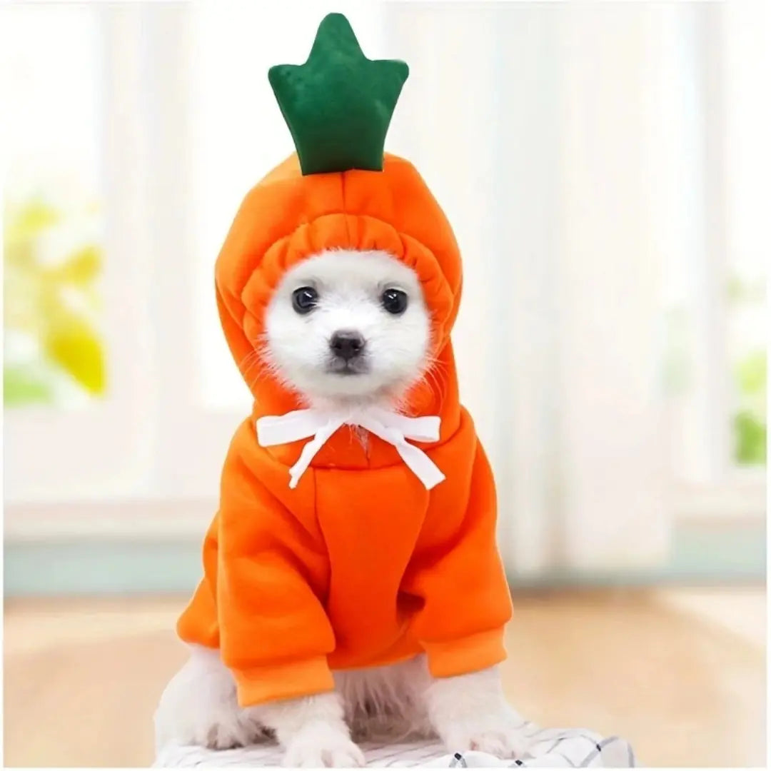 Cute Dog Clothes for Small Dogs, Warm Fleece Animal & Fruit Hoodie Costume