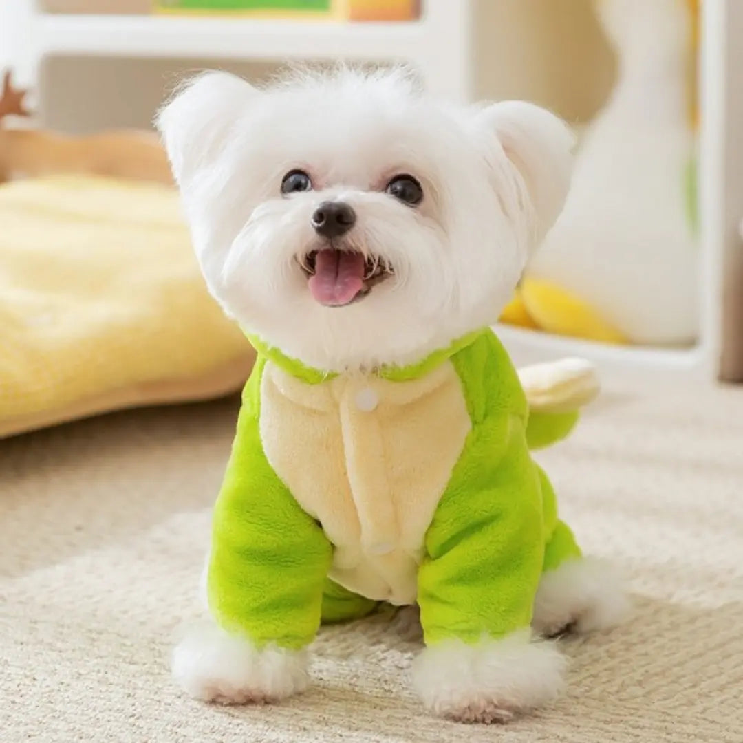 Dinosaur Dog Pajamas for Small Dogs, Warm Four-Leg Fleece Jumpsuit