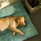 Dog Bed for Medium & Large Dogs, Thick Corduroy Washable Cushion