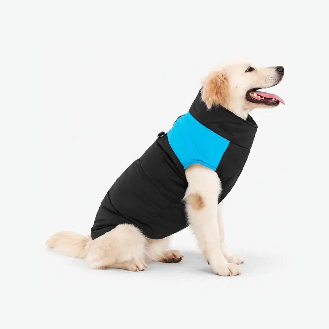 Dog Coats for Small, Medium & Large Dogs - Warm Water-Resistant Winter Vest with D-Ring