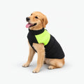 Dog Coats for Small, Medium & Large Dogs - Warm Water-Resistant Winter Vest with D-Ring
