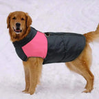 Dog Coats for Small, Medium & Large Dogs - Warm Water-Resistant Winter Vest with D-Ring