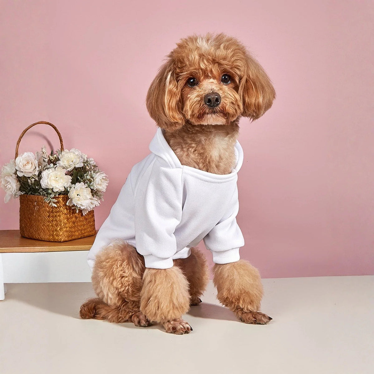 Dog Hoodies for Small and Medium Dogs - Warm Pet Sweatshirt for Autumn & Winter