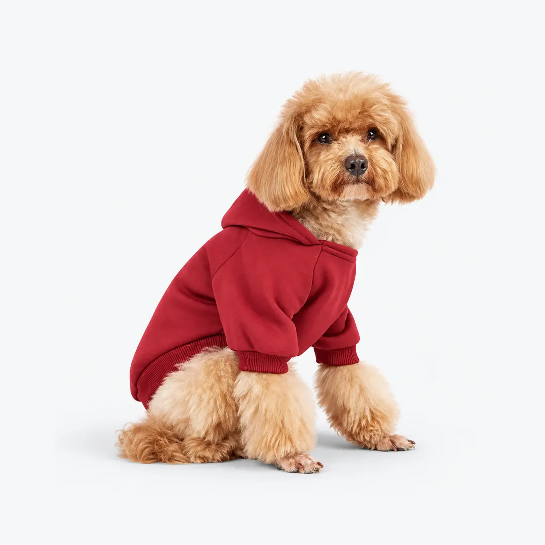 Dog Hoodies for Small and Medium Dogs - Warm Pet Sweatshirt for Autumn & Winter