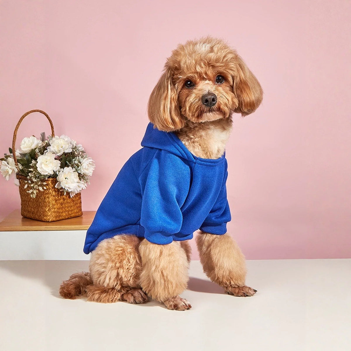 Dog Hoodies for Small and Medium Dogs - Warm Pet Sweatshirt for Autumn & Winter