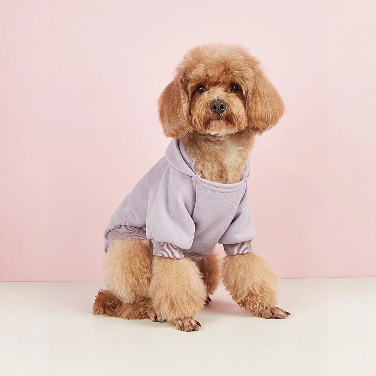 Dog Hoodies for Small and Medium Dogs - Warm Pet Sweatshirt for Autumn & Winter